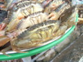 [vietnam]