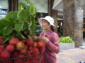 [vietnam]