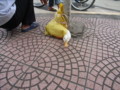 [vietnam]