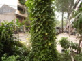 [vietnam]