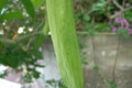 20090502144810