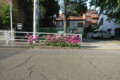 20090502163714