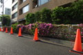 20090502163800