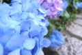 20090530170005