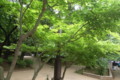 20090604135611
