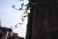 20090613162951