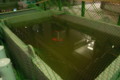 20090624220520