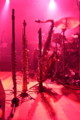 [live]bonobo