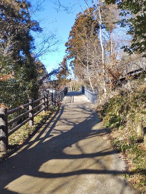 f:id:km-3830:20250122213906j:image f:id:km-3830:20250122213906j:image