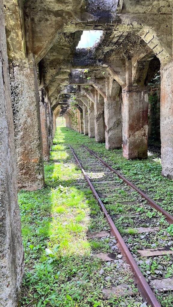 日のさす遺構跡。