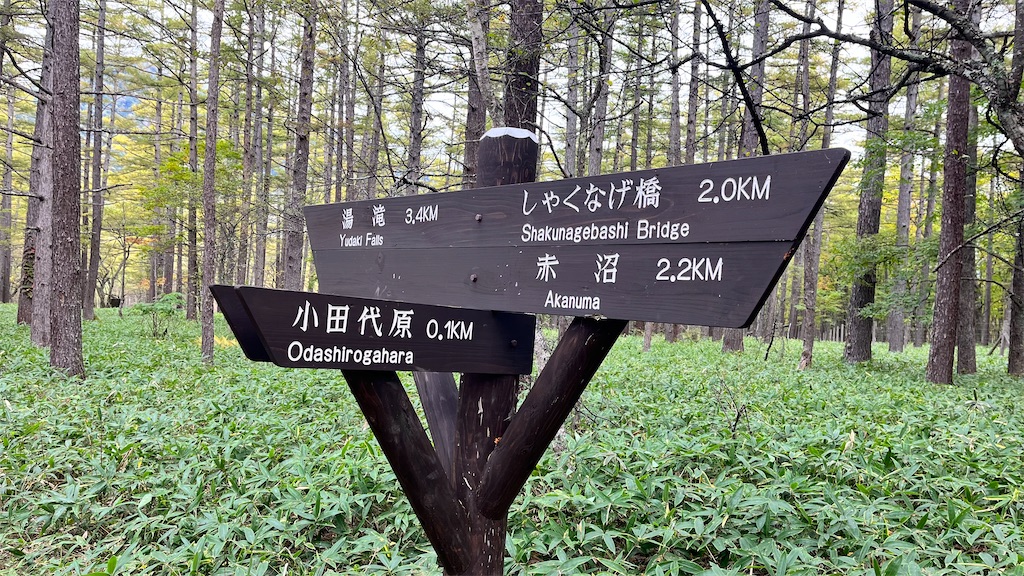 分岐点の看板は綺麗でした。