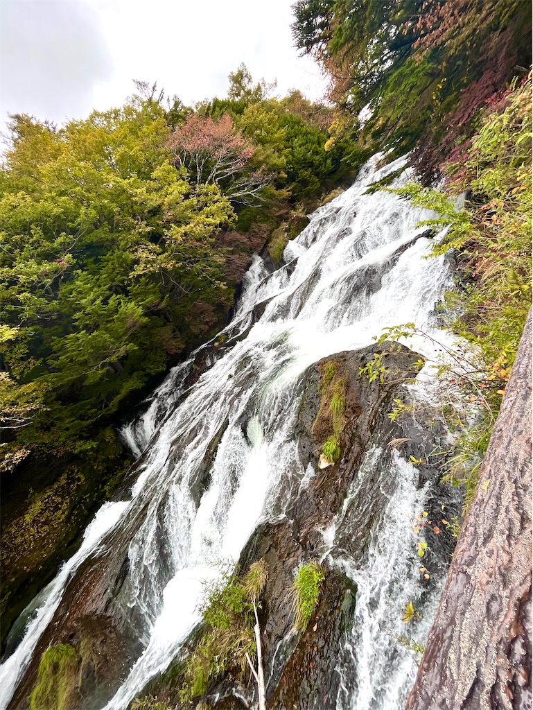 竜頭の滝、中間地点の様子です。