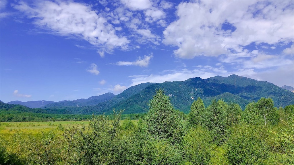 夏の戦場ヶ原の様子です。