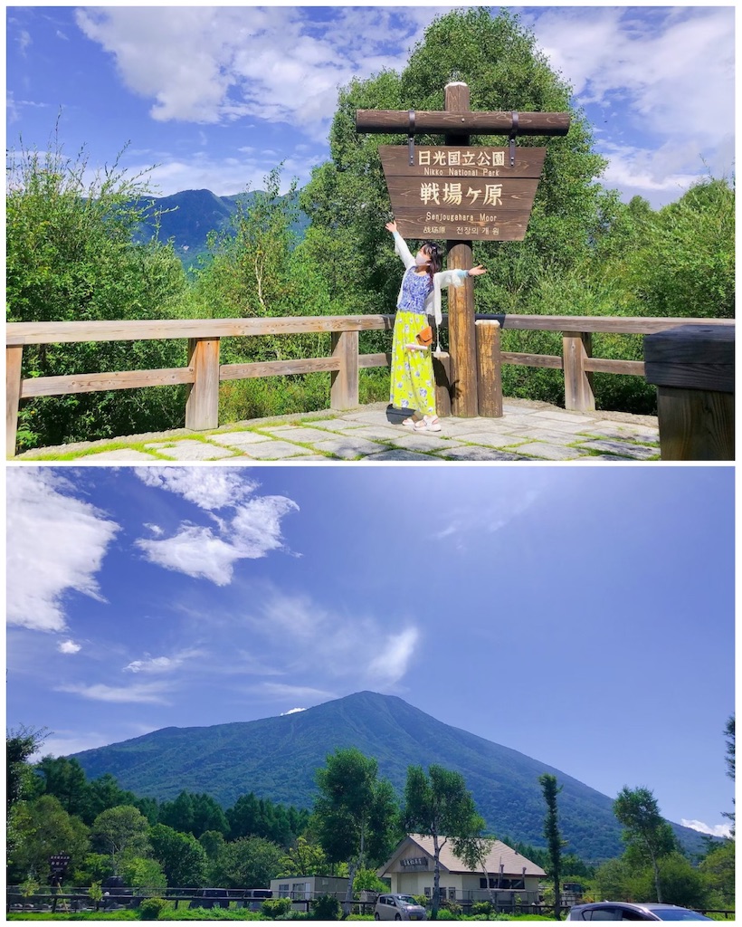 夏の展望台の様子です。