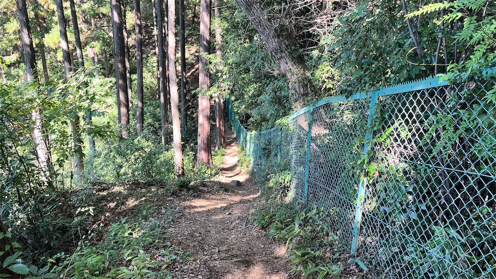 緑のフェンス沿いに登山コースが続いている様子です。