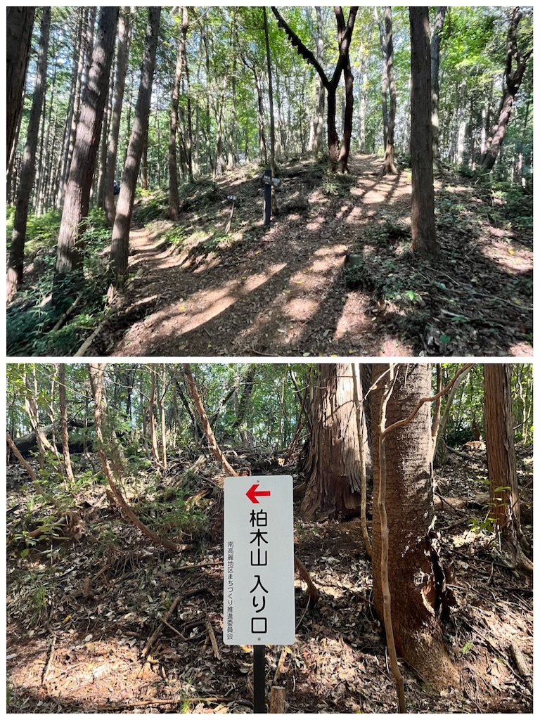 途中であった分岐点と木山への看板が写っています。