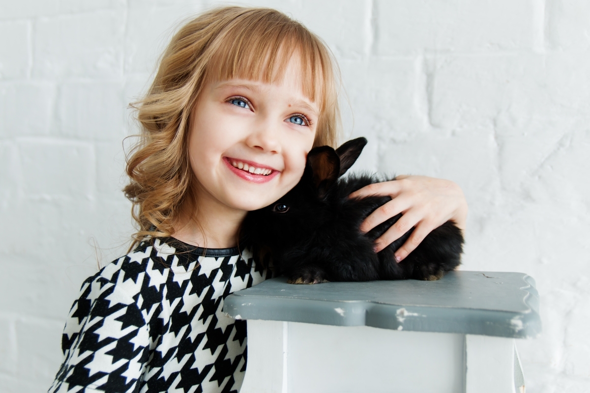 f:id:km_anastasia:20191223005055j:plain