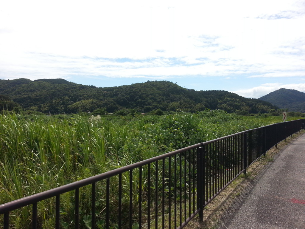 f:id:kmaebashi:20170813135821j:plain f:id:kmaebashi:20170813135821j:plain
