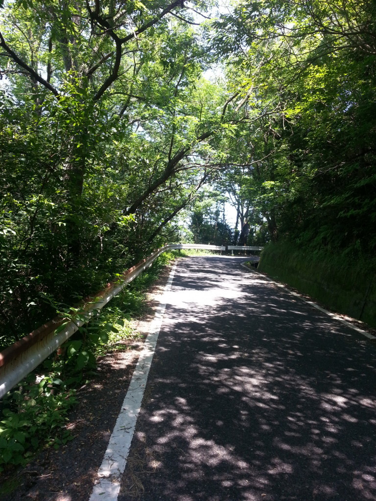 f:id:kmaebashi:20180714131135j:plain