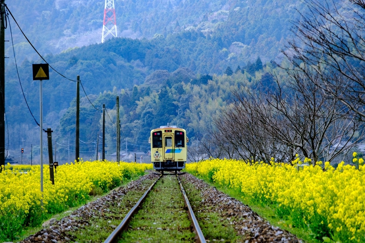 f:id:kmaeda16:20200811190617j:plain f:id:kmaeda16:20200811190617j:plain