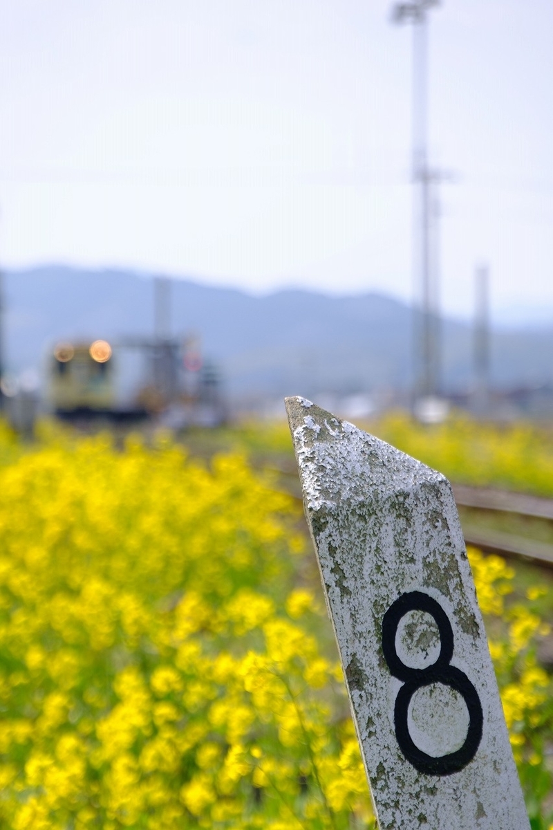 f:id:kmaeda16:20200811190746j:plain f:id:kmaeda16:20200811190746j:plain