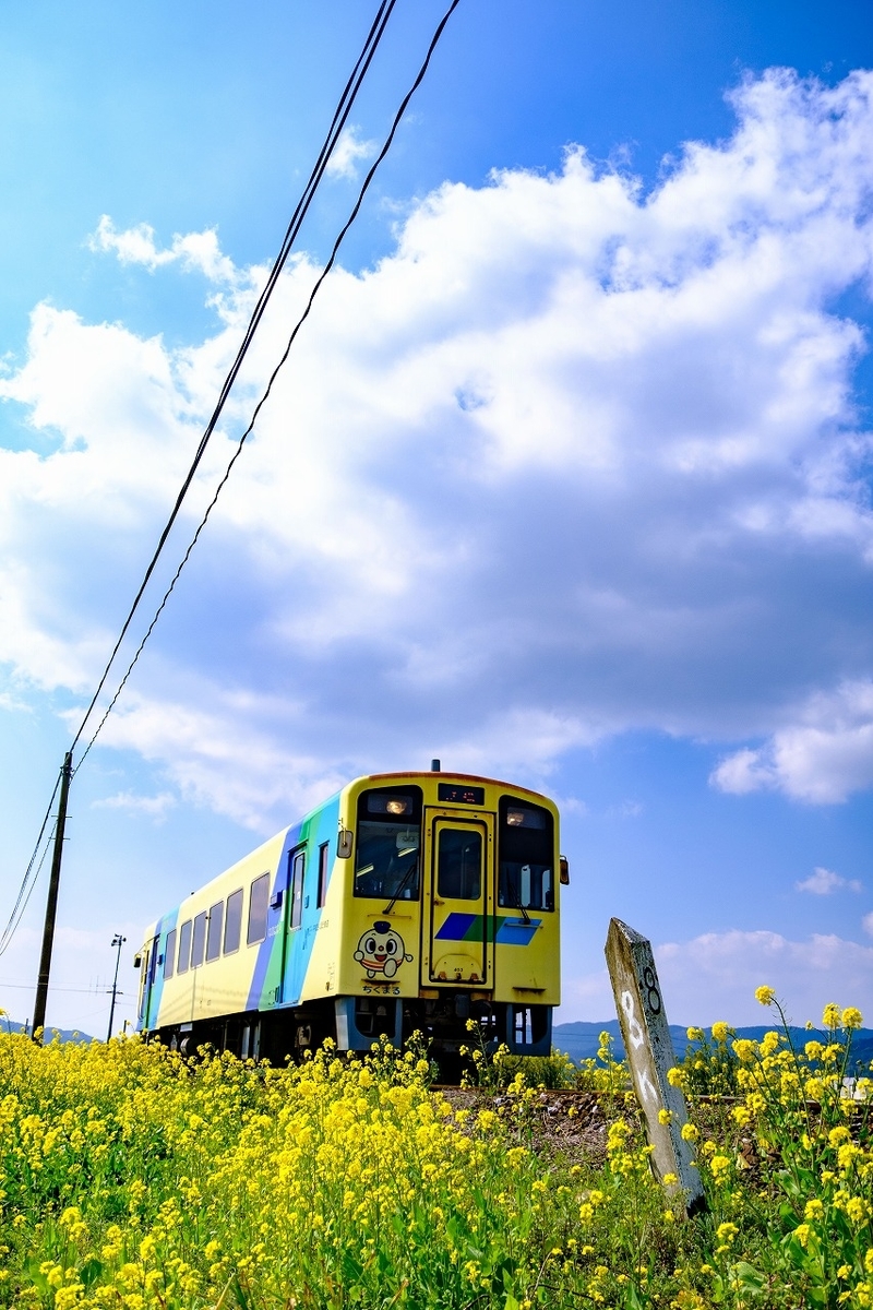 f:id:kmaeda16:20200811190810j:plain f:id:kmaeda16:20200811190810j:plain