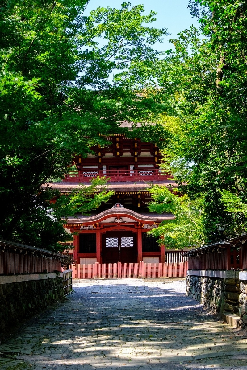 f:id:kmaeda16:20200826145046j:plain f:id:kmaeda16:20200826145046j:plain