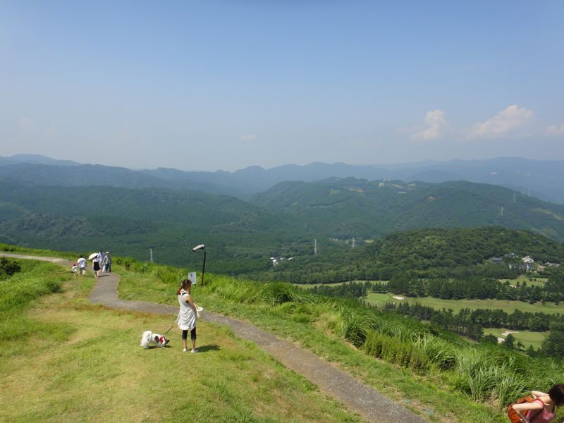 20100816234212