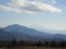 20101218015252