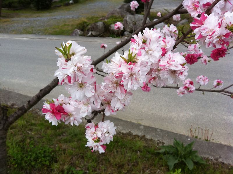 20110430103423