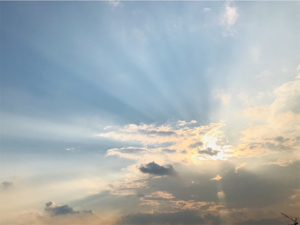 f:id:kmichix:20190326213749j:image f:id:kmichix:20190326213749j:image