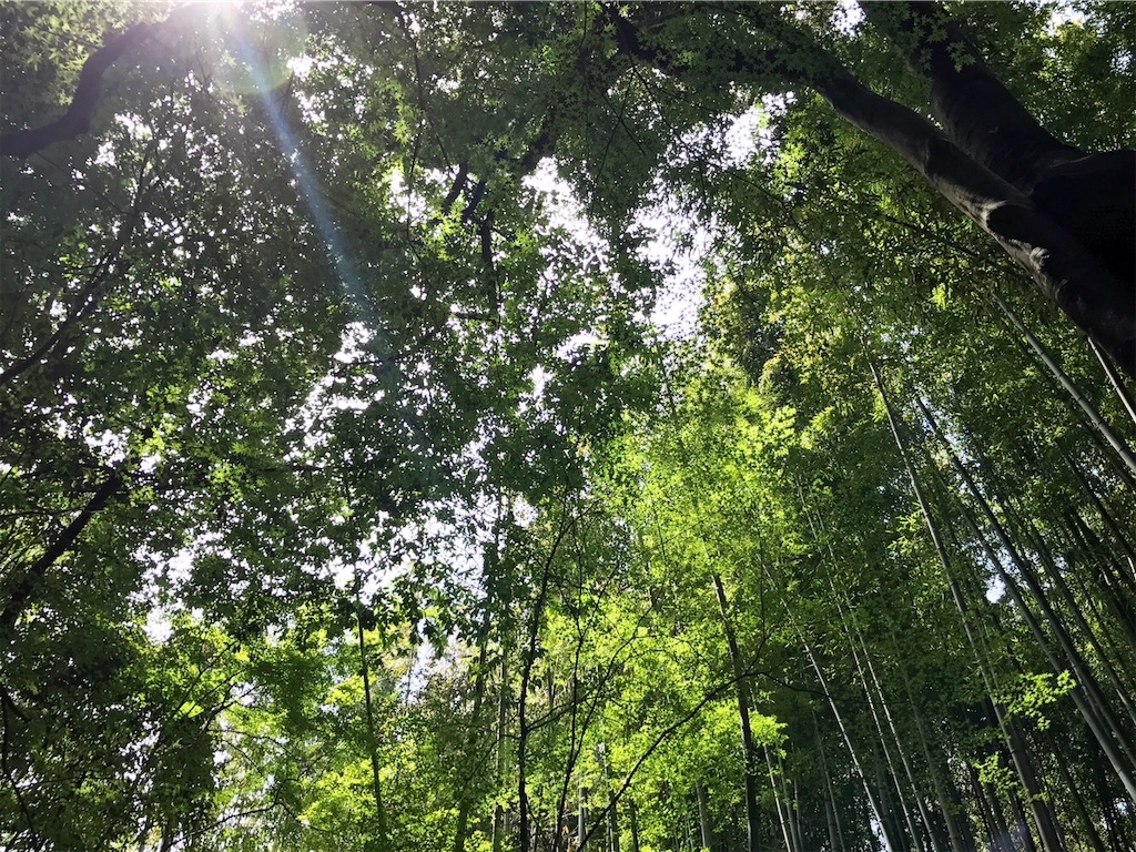 f:id:kmichix:20190326213843j:image f:id:kmichix:20190326213843j:image