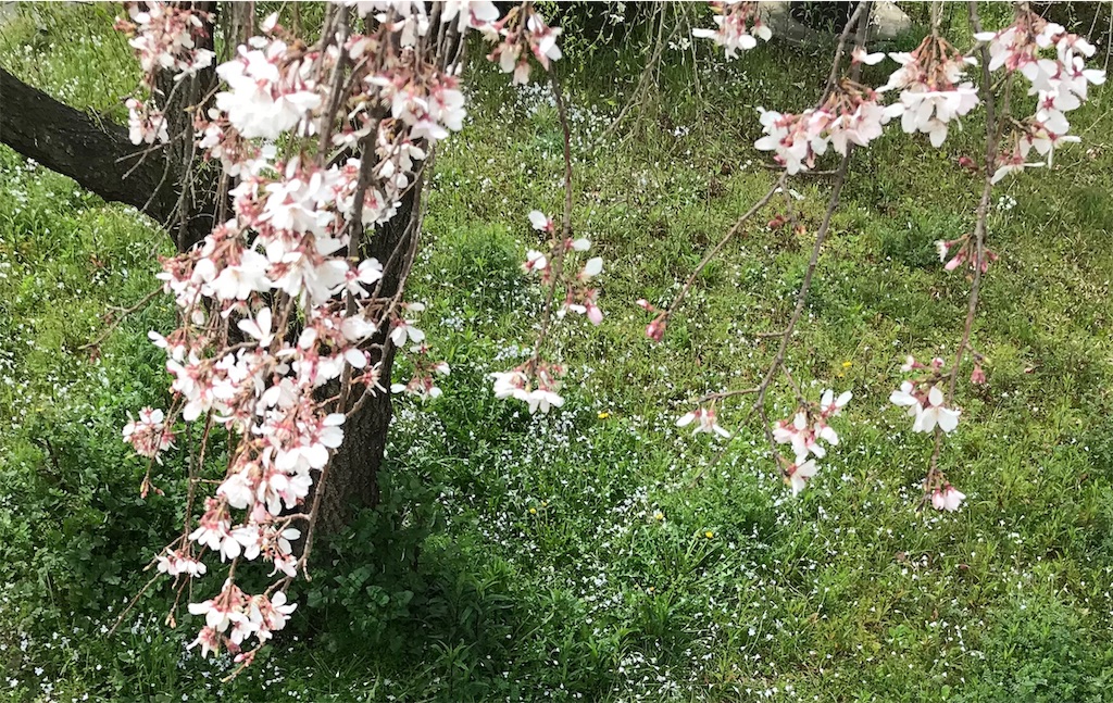 f:id:kmichix:20190331184640j:image f:id:kmichix:20190331184640j:image