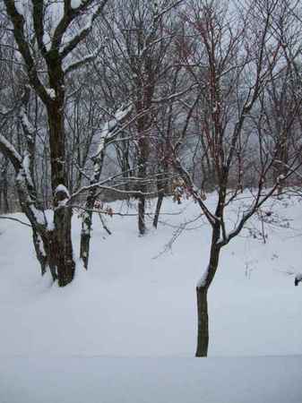 f:id:kmiura:20080104160940j:image