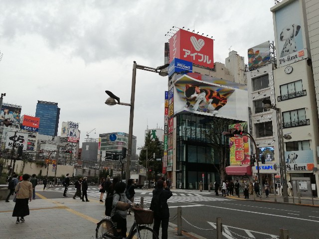 f:id:kmn2:20211025161130j:image f:id:kmn2:20211025161130j:image