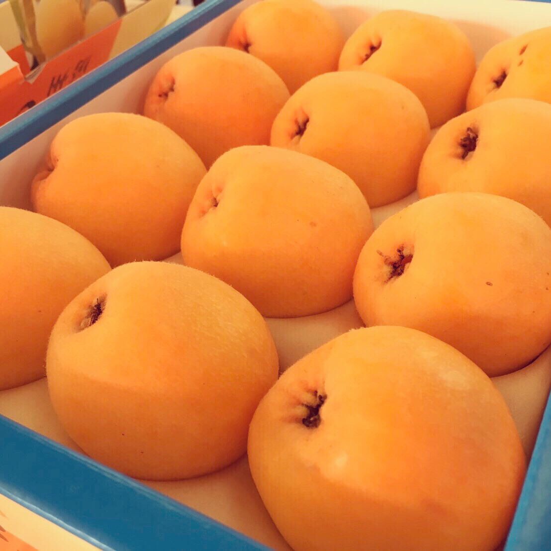 f:id:kmomiji:20190610123313j:plain f:id:kmomiji:20190610123313j:plain