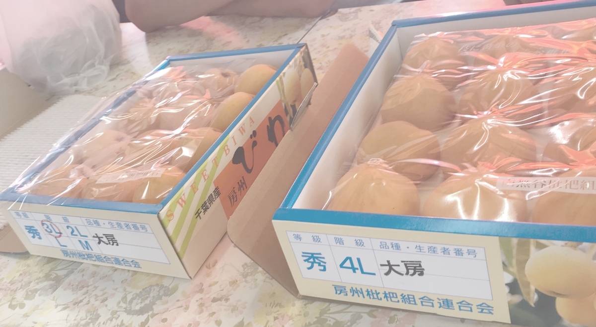 f:id:kmomiji:20190610125533j:plain f:id:kmomiji:20190610125533j:plain