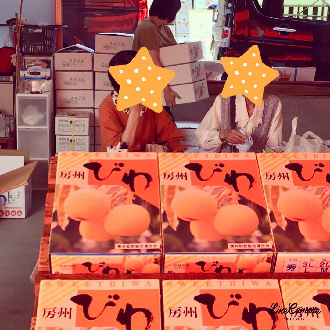 f:id:kmomiji:20190610130940j:plain f:id:kmomiji:20190610130940j:plain