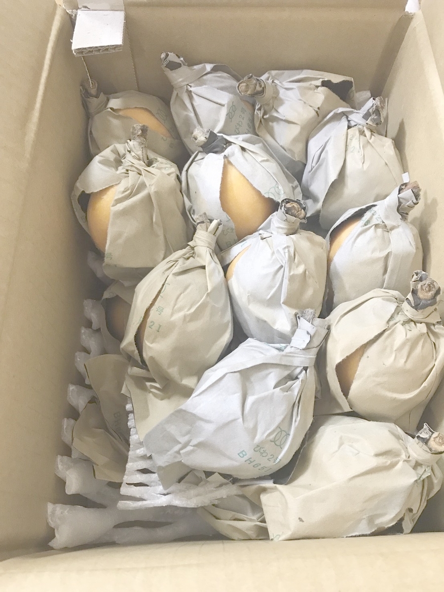 f:id:kmomiji:20190610132835j:plain