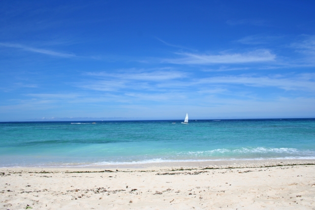 f:id:kmomiji:20190611142738j:plain