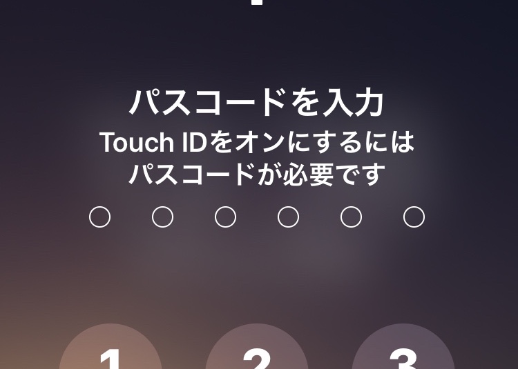 f:id:kmomiji:20190811135155j:plain f:id:kmomiji:20190811135155j:plain