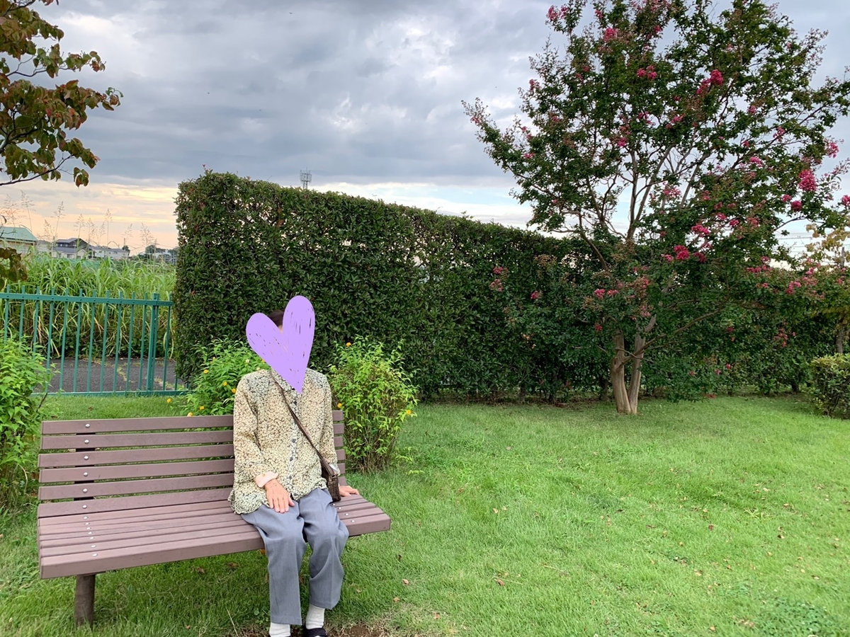 f:id:kmomiji:20190921131436j:plain