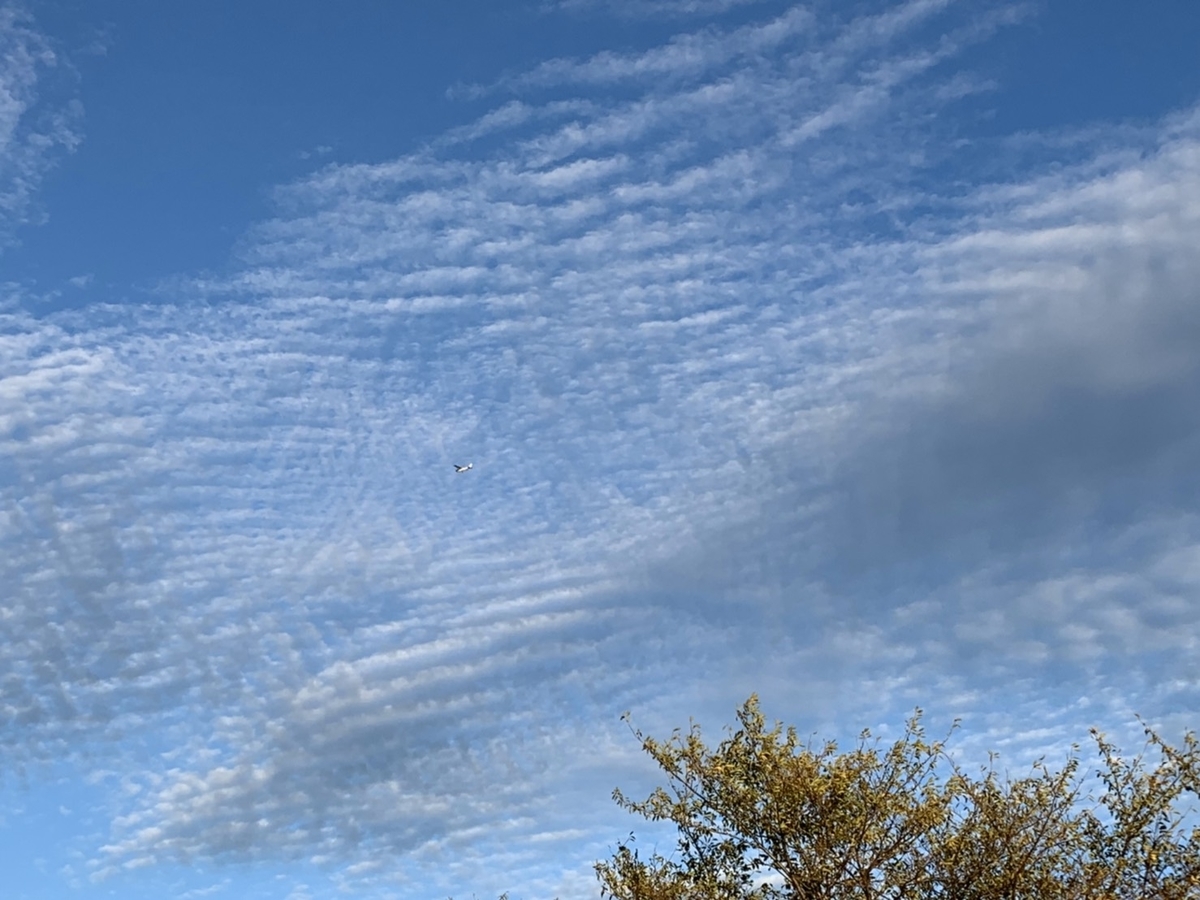 f:id:kmomiji:20191020213800j:plain