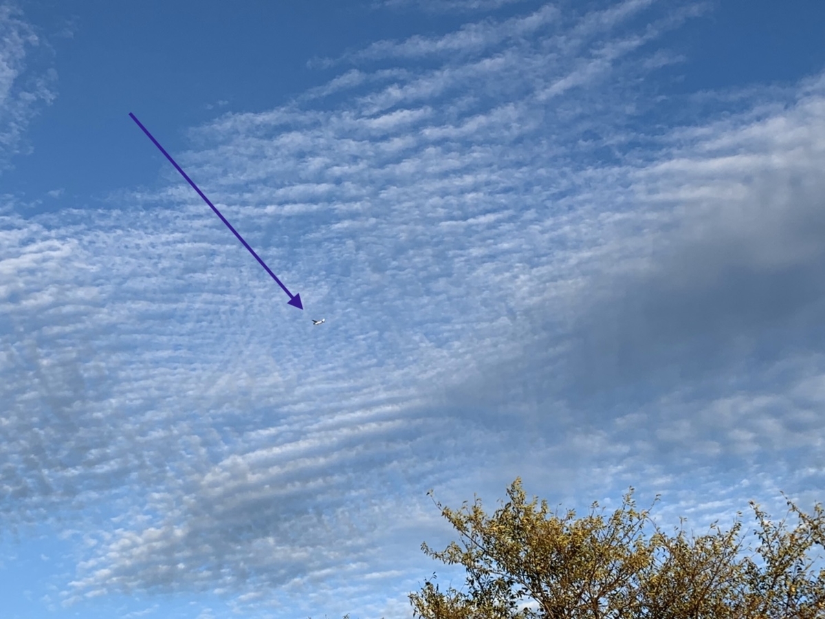 f:id:kmomiji:20191020214115j:plain