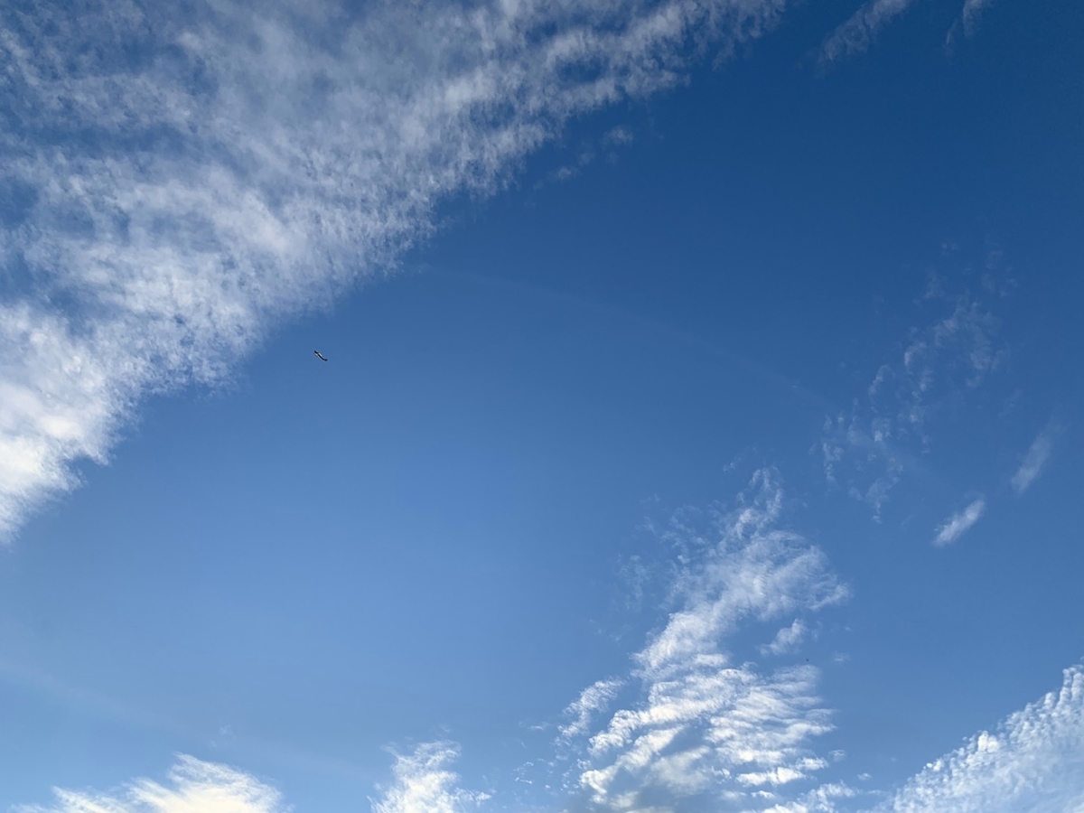 f:id:kmomiji:20191020214304j:plain