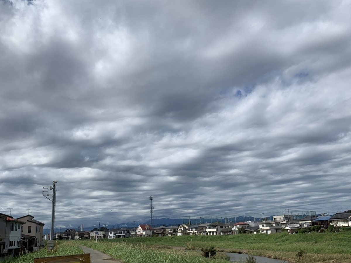 f:id:kmomiji:20191021113313j:plain