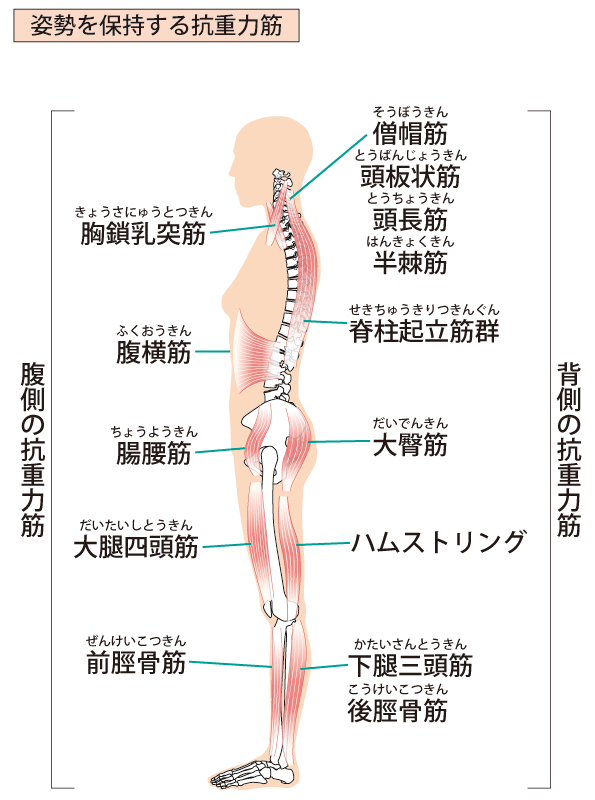 f:id:kmomiji:20191115175556j:plain