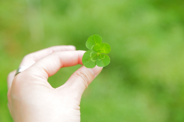 f:id:kmomiji:20200116200424j:plain