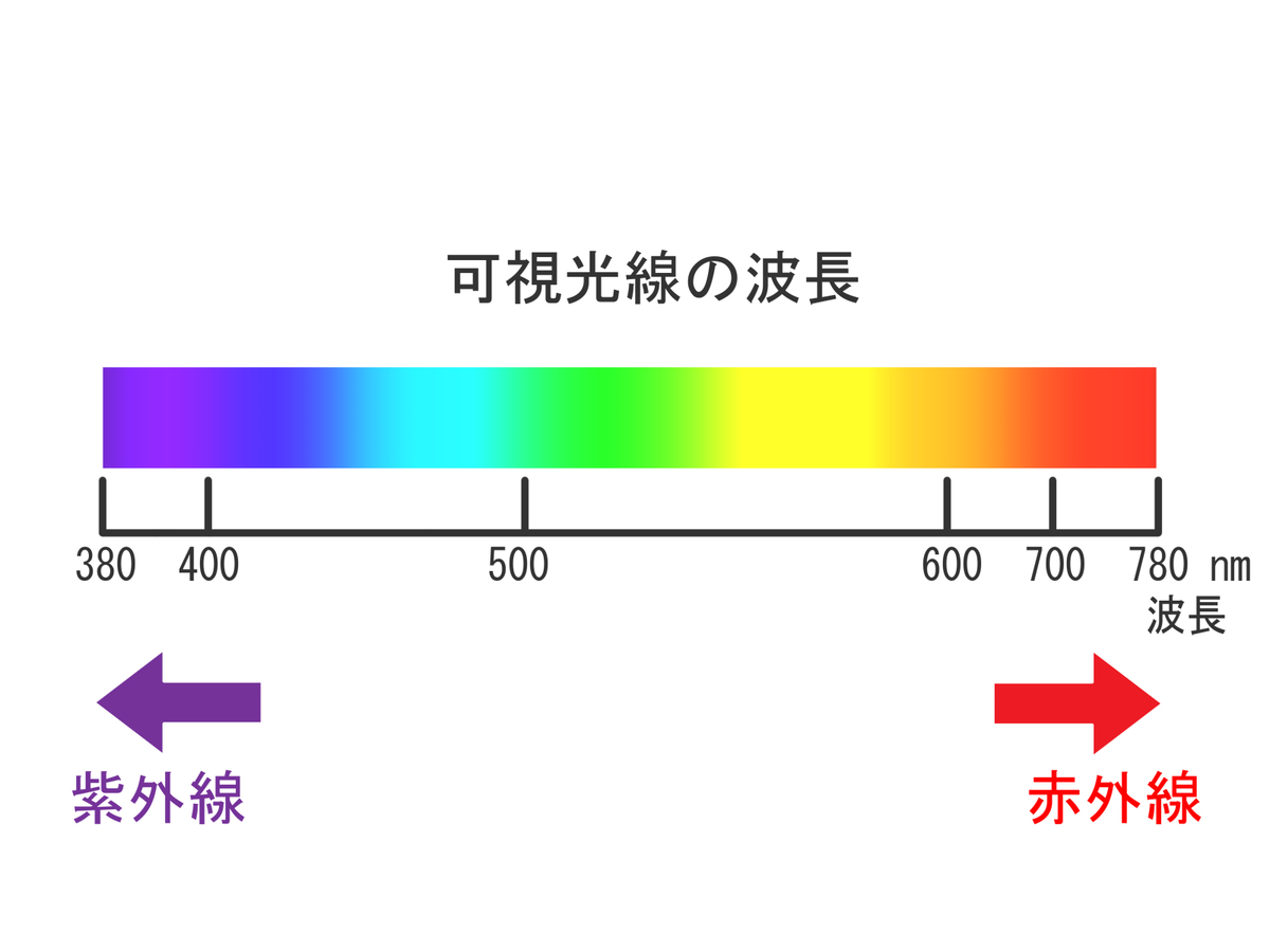 f:id:kmomiji:20200127110438j:plain