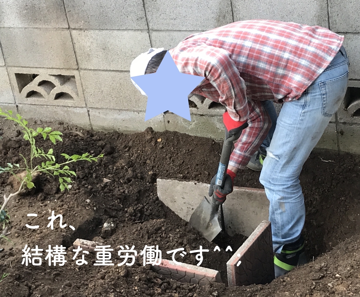 f:id:kmomiji:20200413124537j:plain